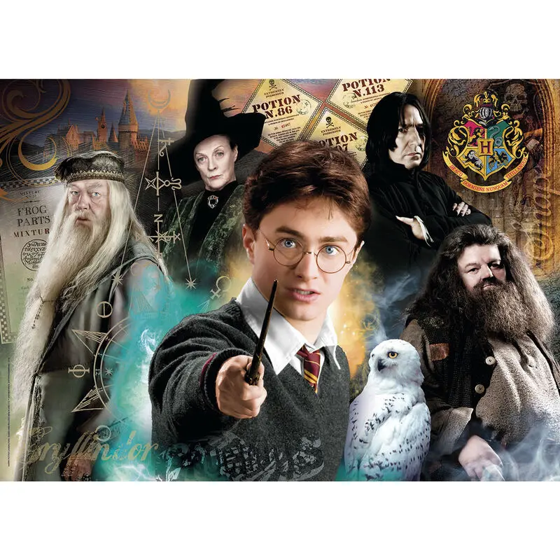 Harry Potter Puzzle Harry at Hogwarts (500 Teile) termékfotó
