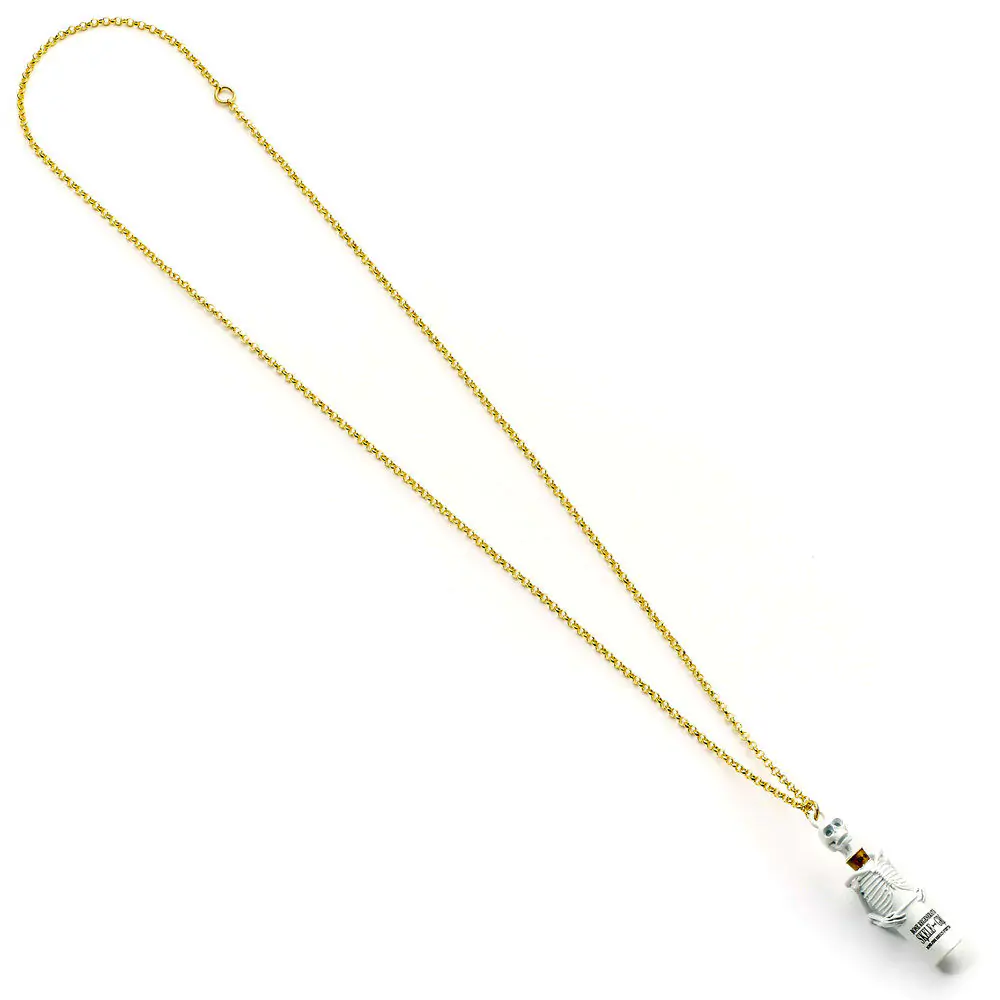 Harry Potter Skelegro Halskette Produktfoto