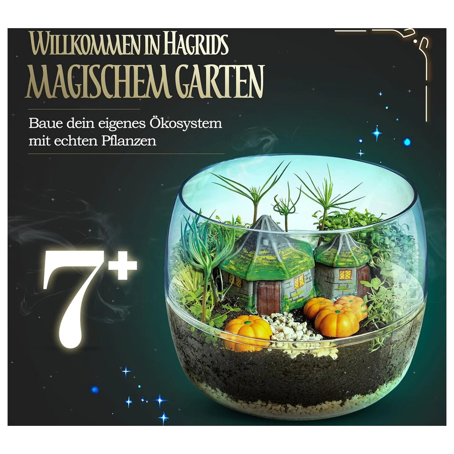 Harry Potter Terrarium Produktfoto