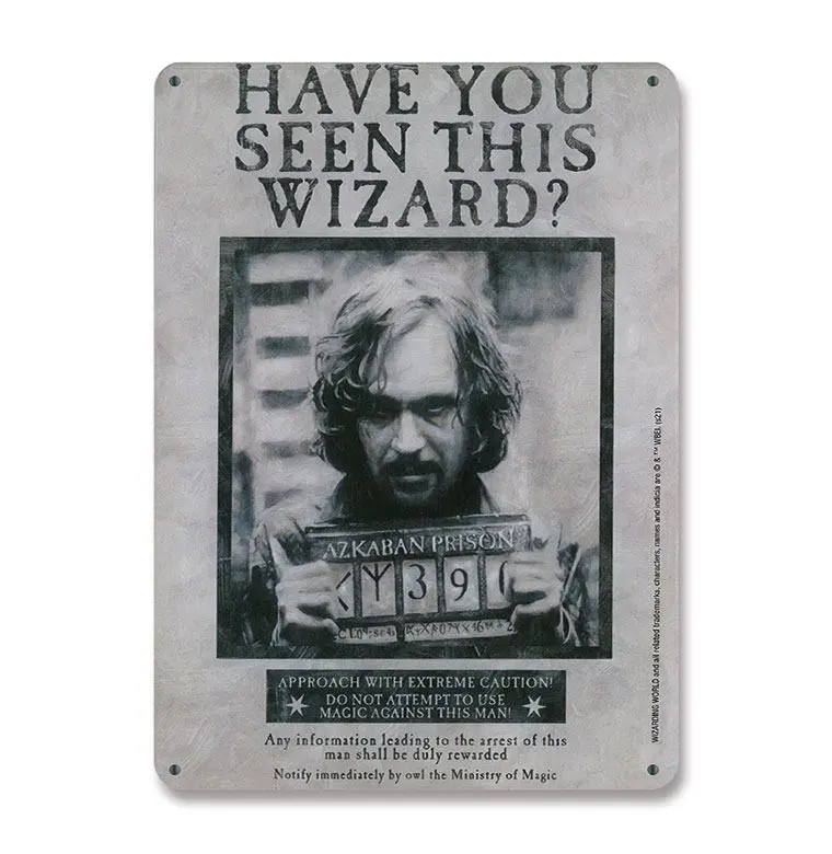 Harry Potter Blechschild Have You Seen This Wizard 15 x 21 cm termékfotó