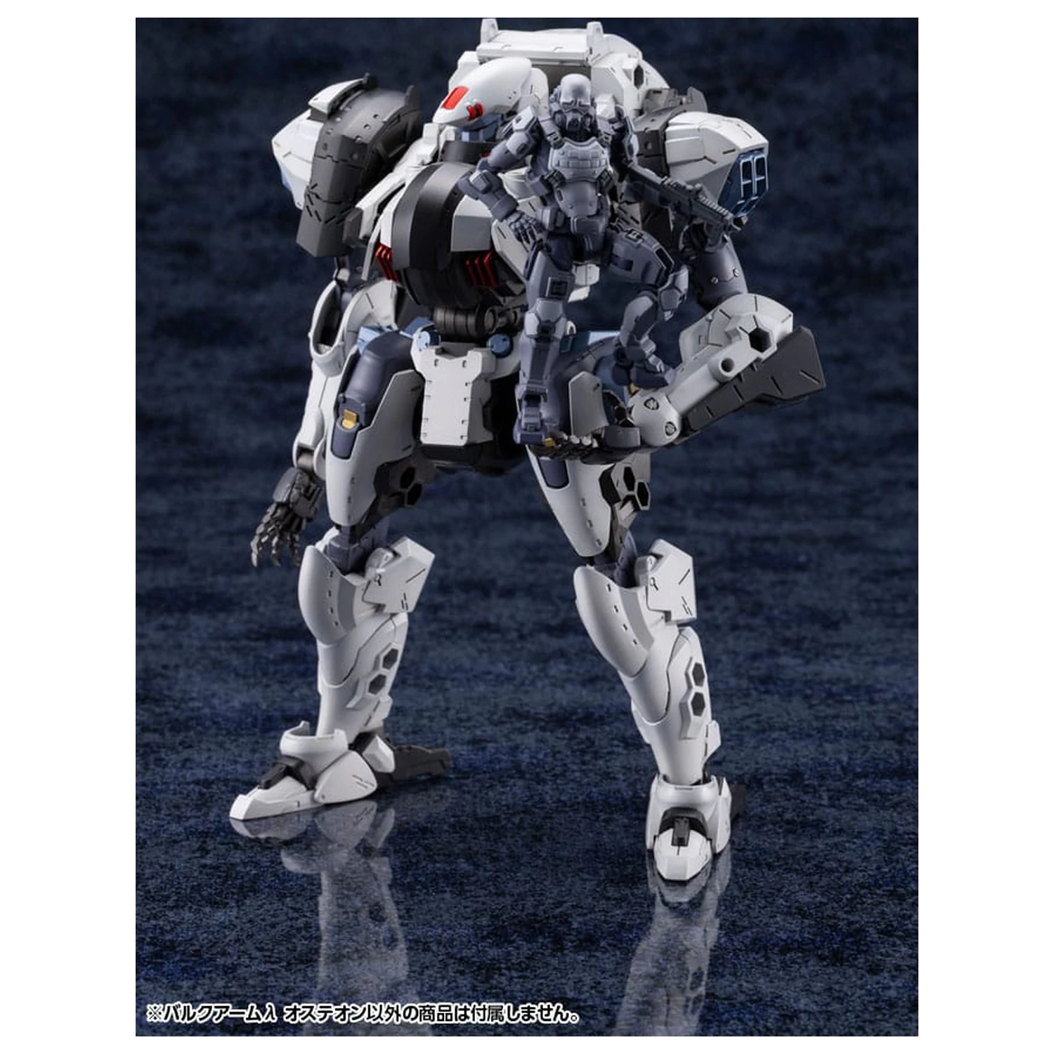 Hexa Gear Plastikmodellbausatz 1/24 Bulkarm? Osteon 18 cm Produktfoto