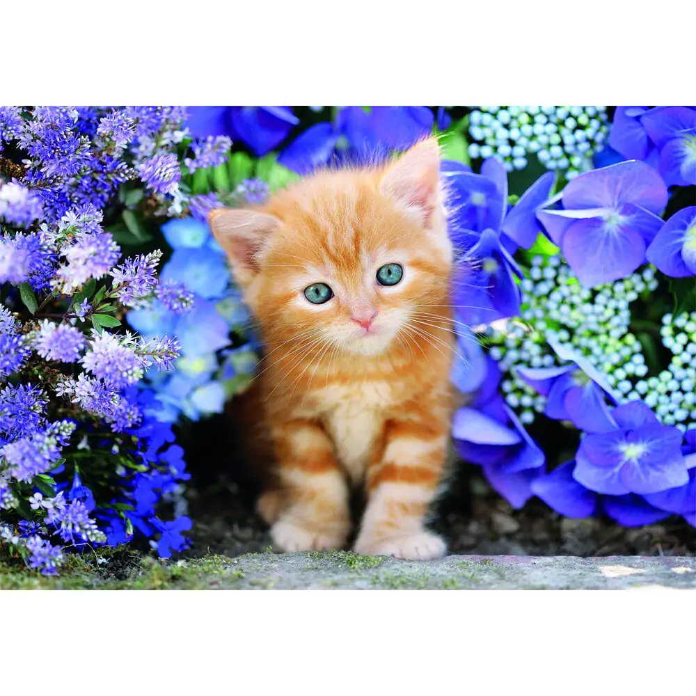 High Quality Ginger Cat Puzzle 500St Produktfoto