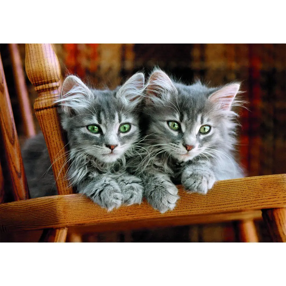 High Quality Kittens Puzzle 500St Produktfoto