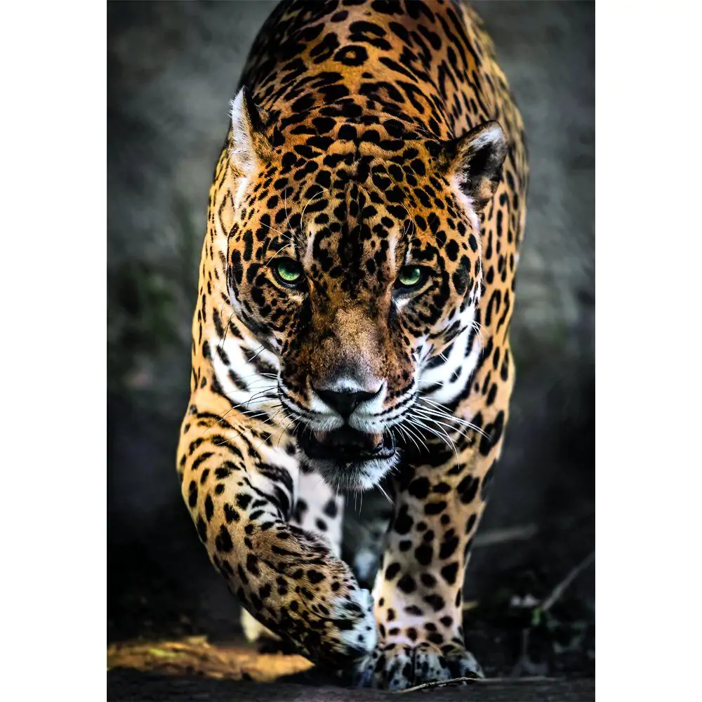 High Quality Walk of the Jaguar Puzzle 1000St Produktfoto