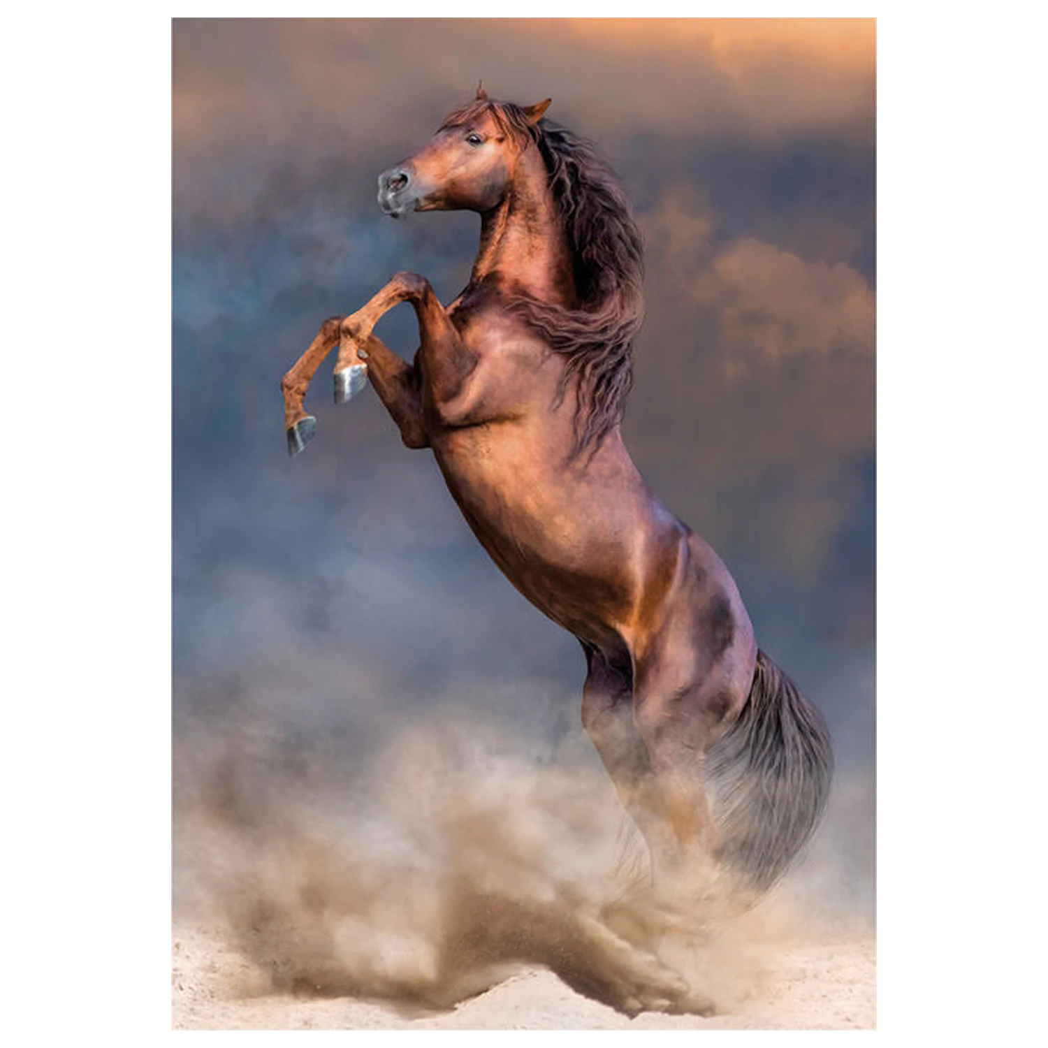 Horse Puzzle 500 Teile Produktfoto
