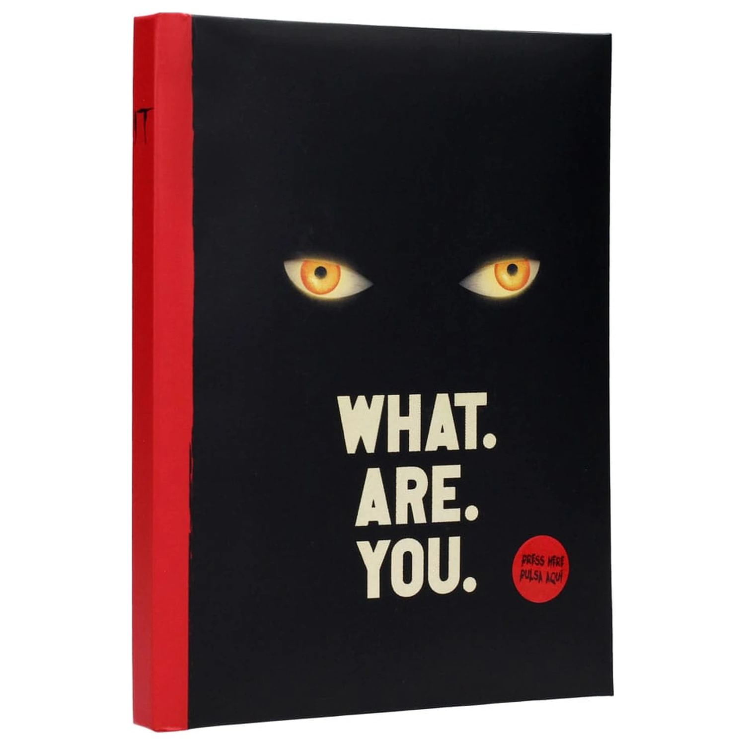 Es Notizbuch mit Licht Was sind Sie Produktfoto