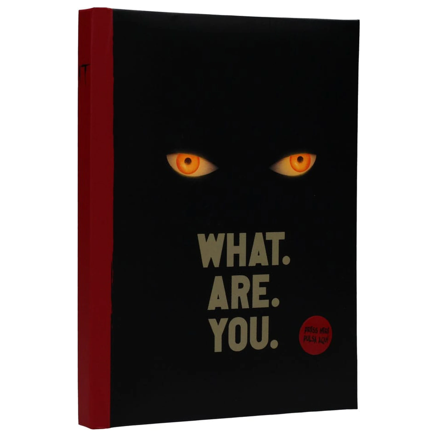 Es Notizbuch mit Licht Was sind Sie Produktfoto