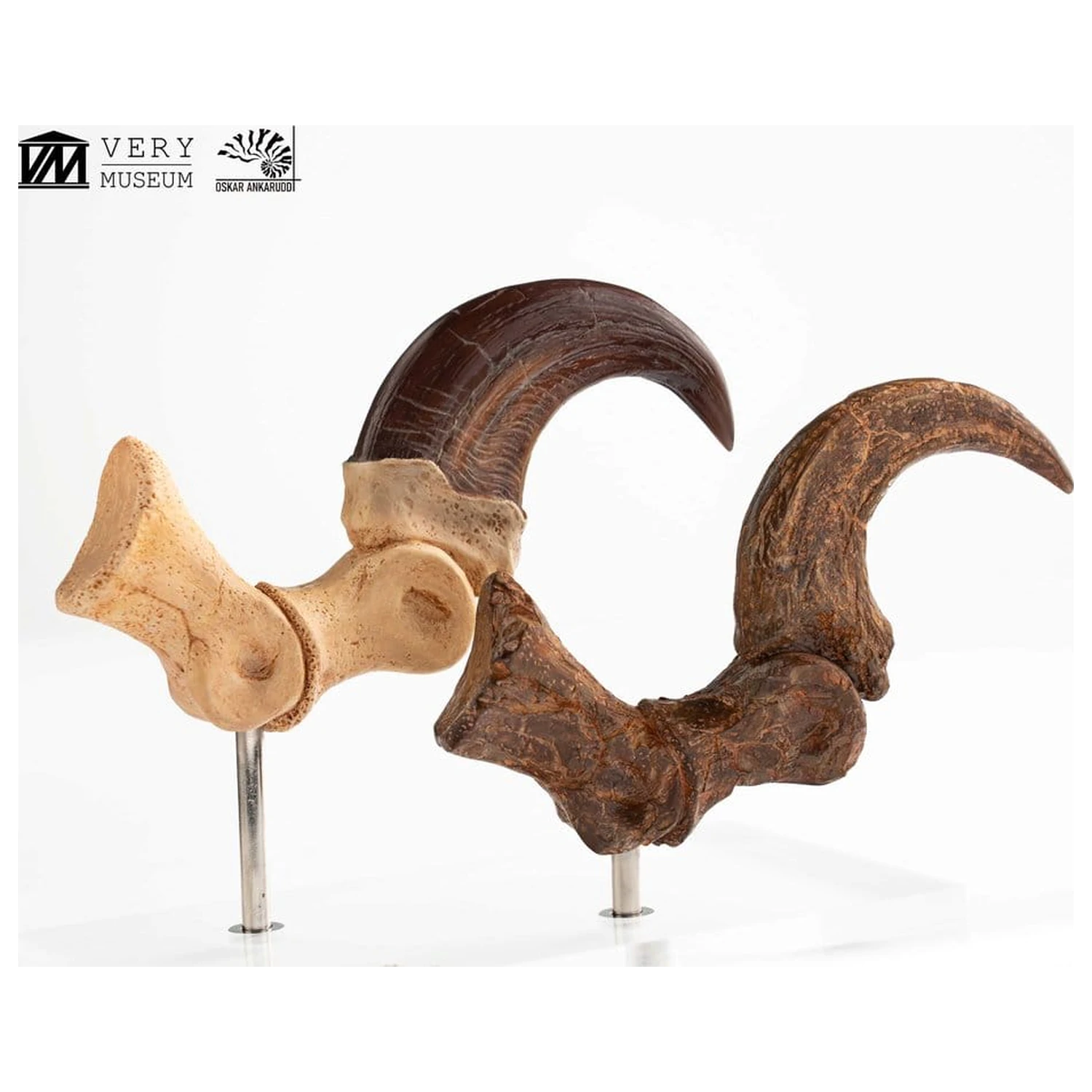 Jurassic Park ECC Elite Creature Line Statue Velociraptor Fußklaue und Fossilien Klaue Set 20 cm Produktfoto