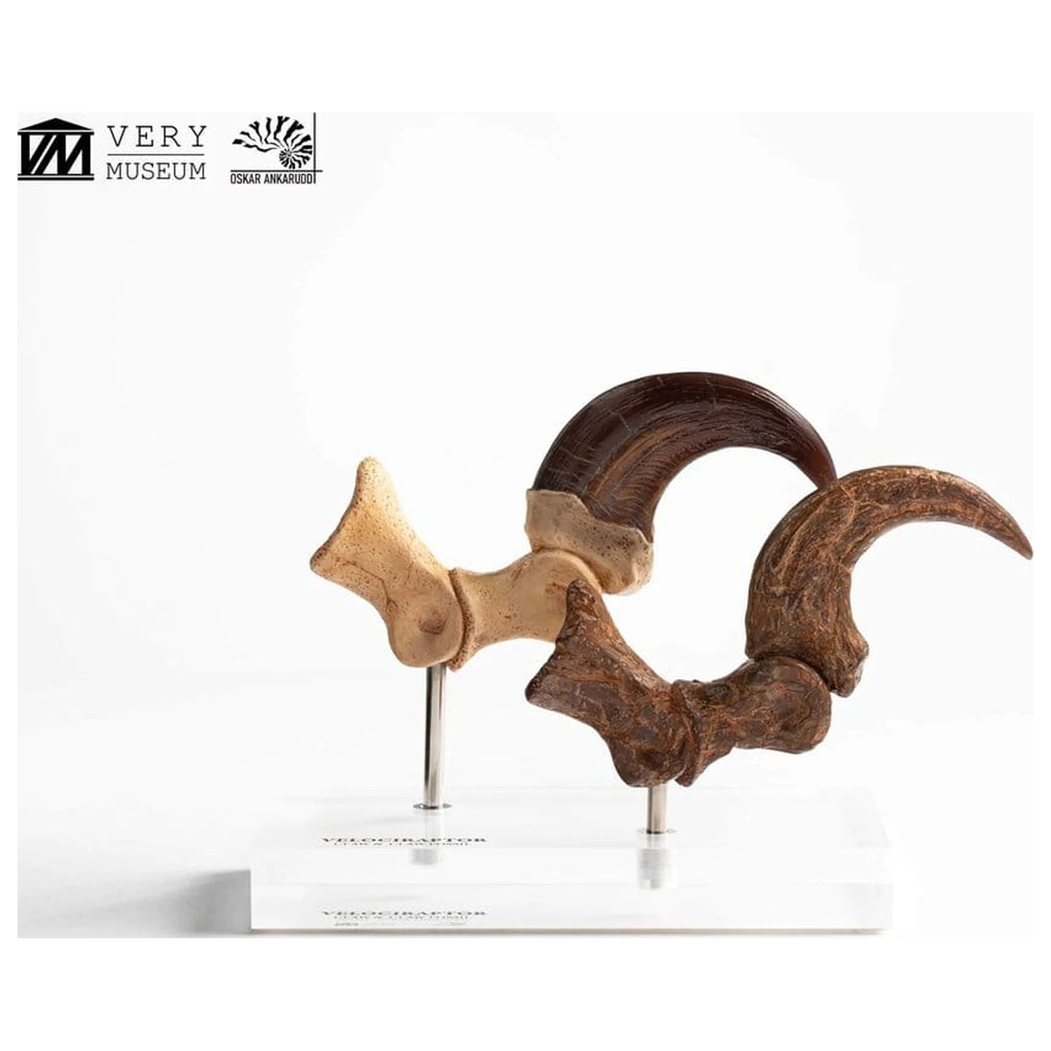 Jurassic Park ECC Elite Creature Line Statue Velociraptor Fußklaue und Fossilien Klaue Set 20 cm Produktfoto