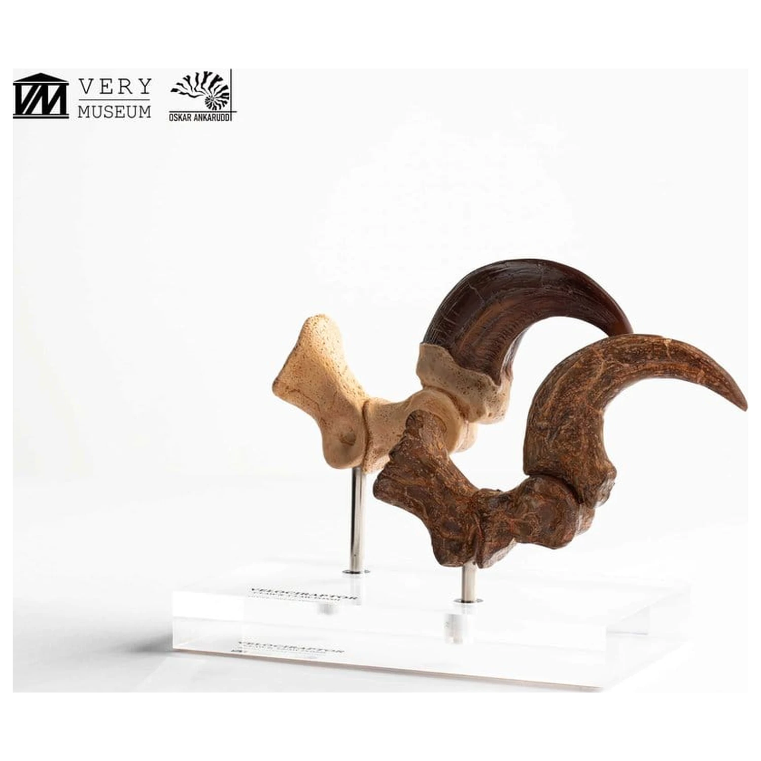 Jurassic Park ECC Elite Creature Line Statue Velociraptor Fußklaue und Fossilien Klaue Set 20 cm Produktfoto