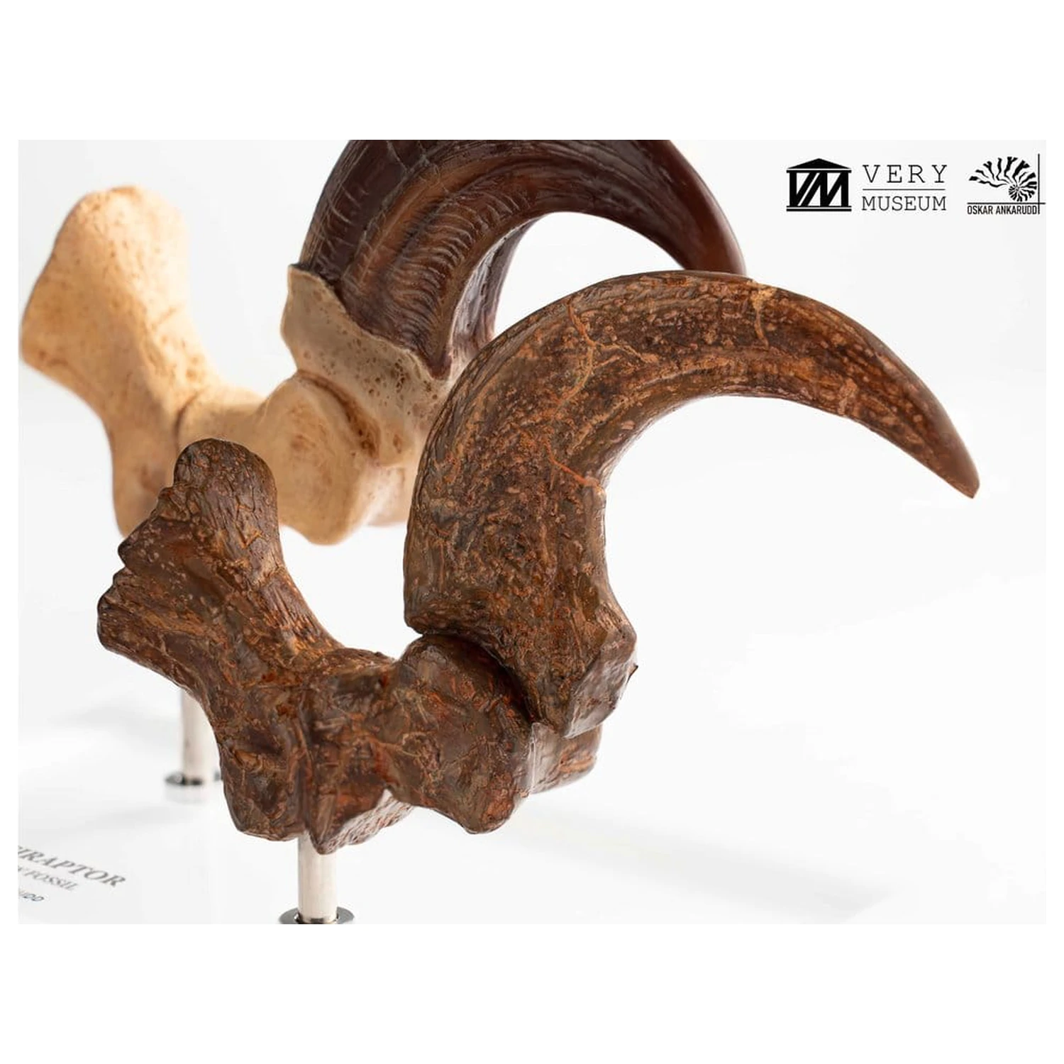 Jurassic Park ECC Elite Creature Line Statue Velociraptor Fußklaue und Fossilien Klaue Set 20 cm Produktfoto