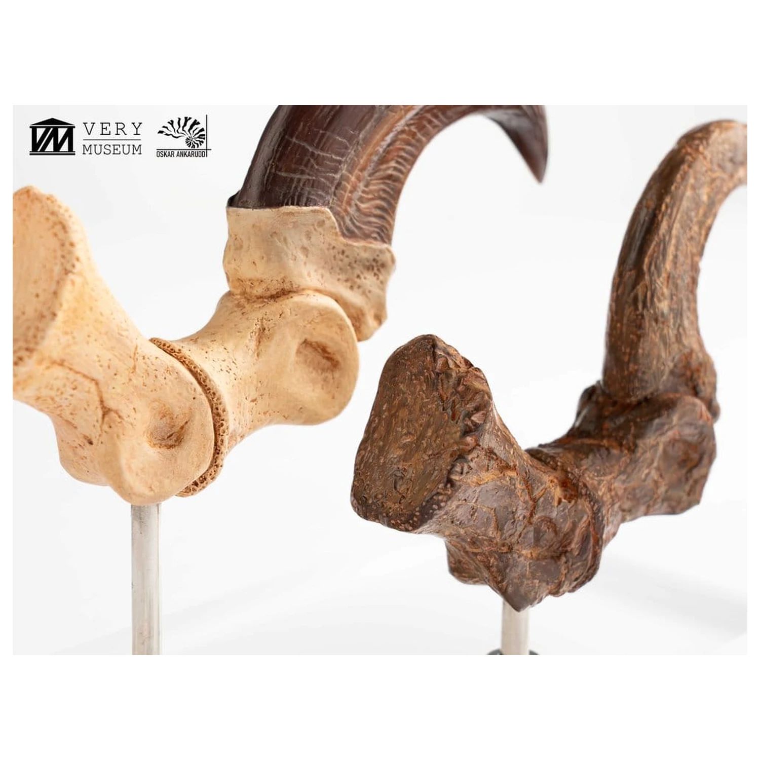 Jurassic Park ECC Elite Creature Line Statue Velociraptor Fußklaue und Fossilien Klaue Set 20 cm Produktfoto