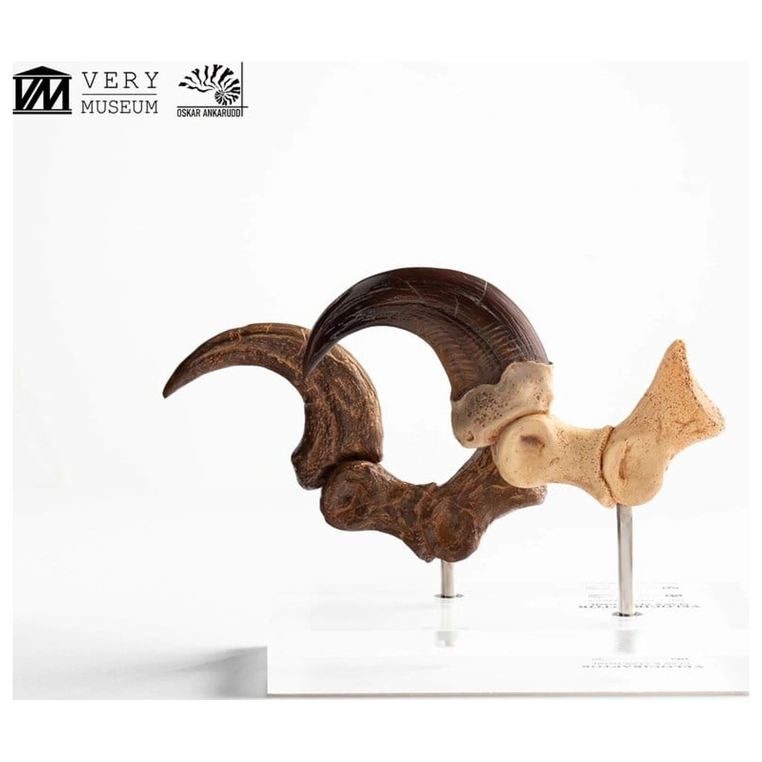 Jurassic Park ECC Elite Creature Line Statue Velociraptor Fußklaue und Fossilien Klaue Set 20 cm Produktfoto