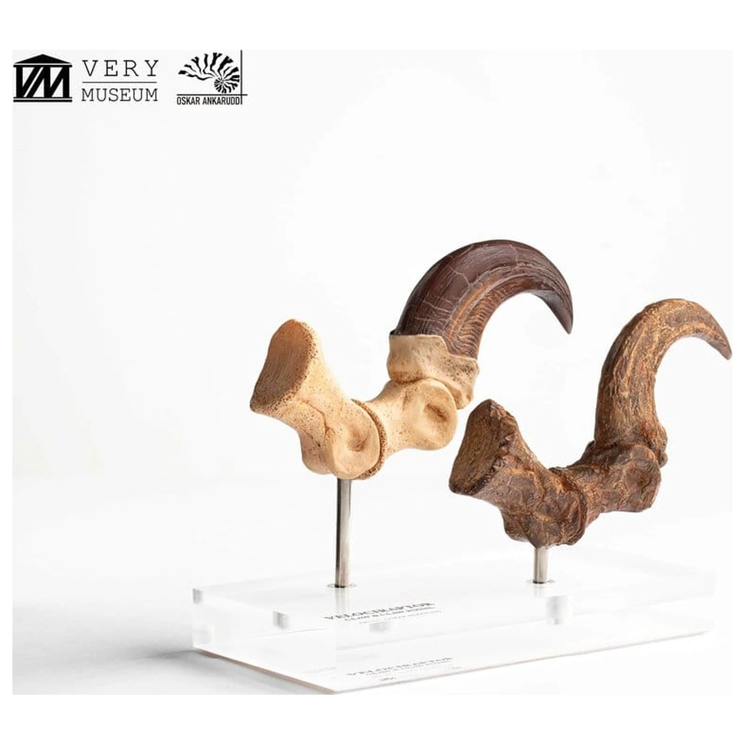 Jurassic Park ECC Elite Creature Line Statue Velociraptor Fußklaue und Fossilien Klaue Set 20 cm Produktfoto