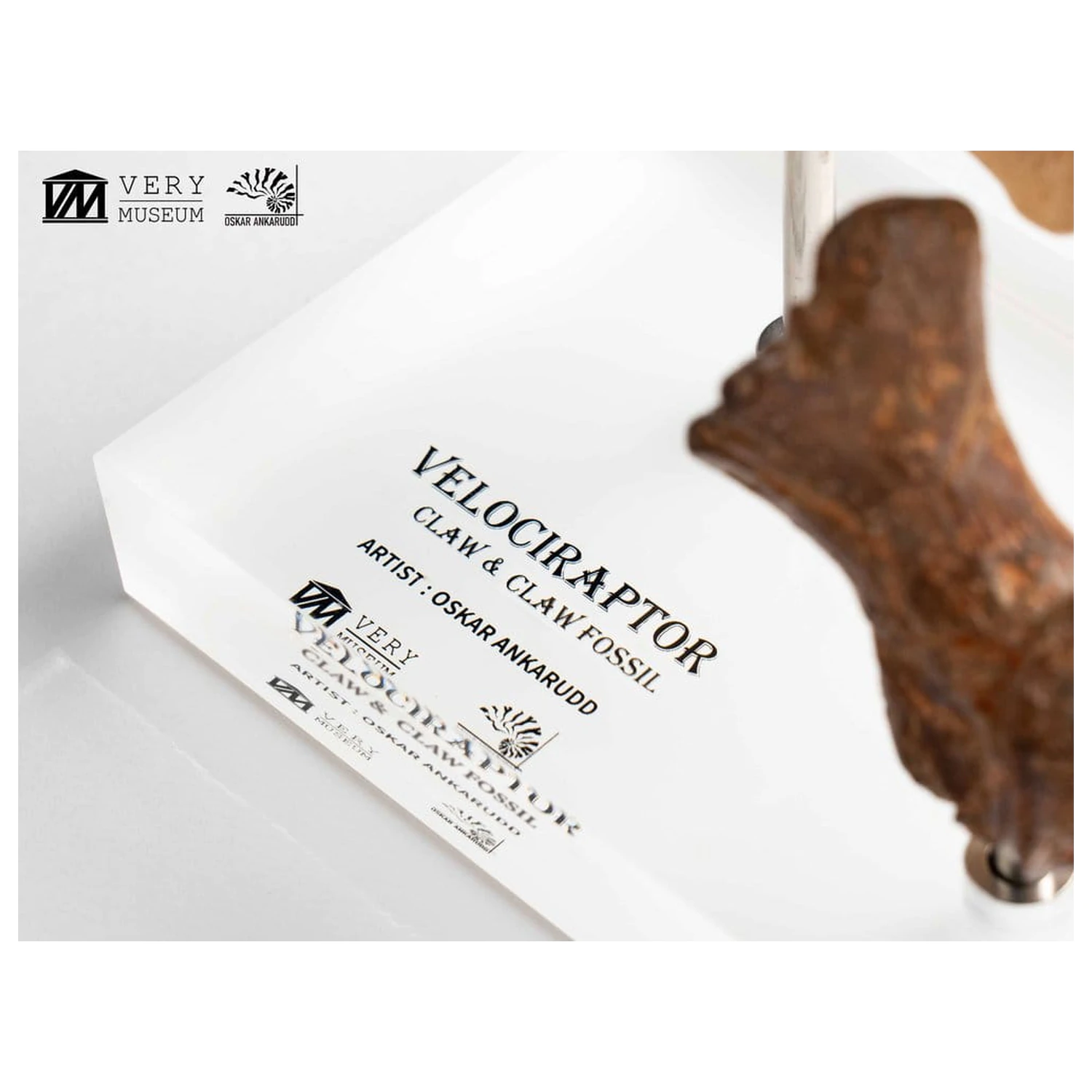 Jurassic Park ECC Elite Creature Line Statue Velociraptor Fußklaue und Fossilien Klaue Set 20 cm Produktfoto