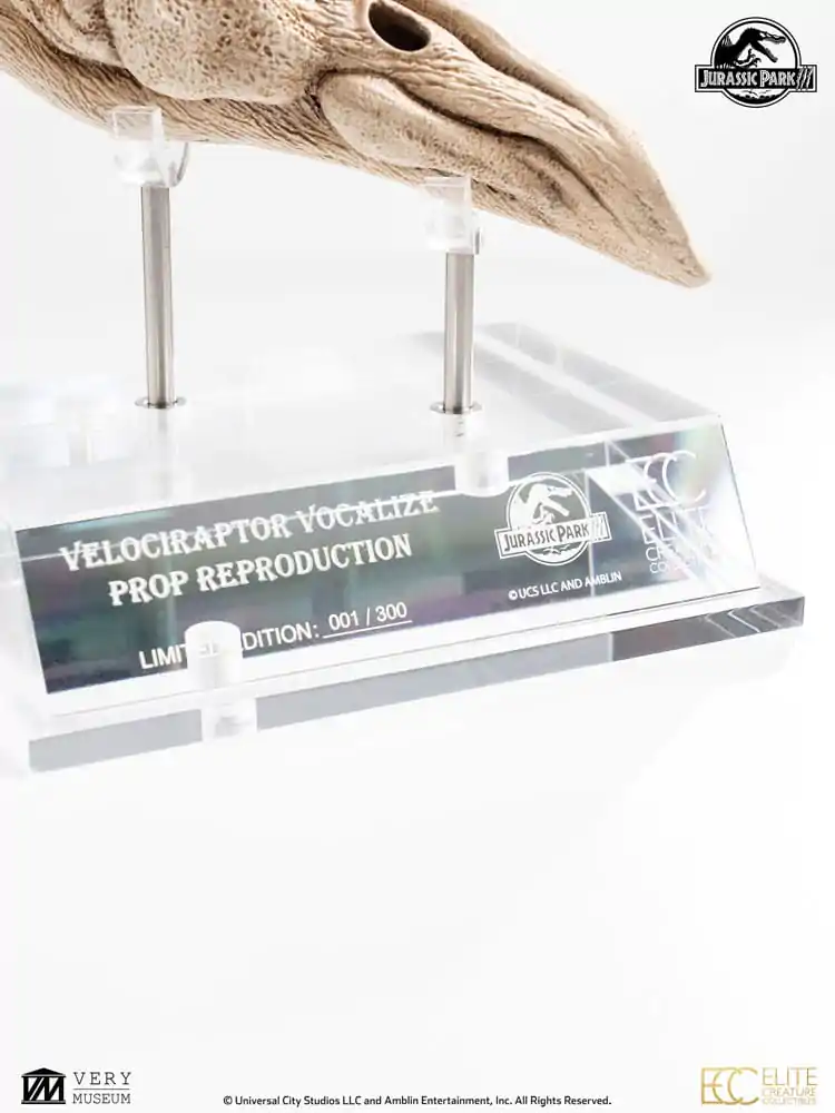 Jurassic Park III Prop Nachbildung 1/1 Velociraptor Resonanzkammer 18 cm Produktfoto