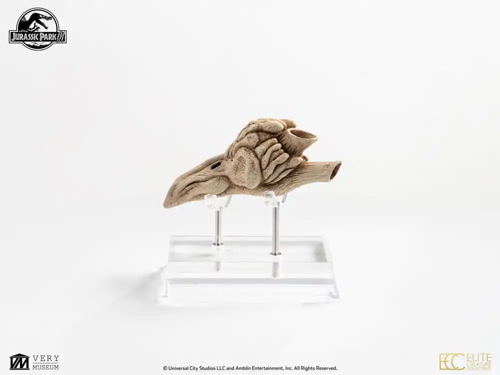 Jurassic Park III Prop Nachbildung 1/1 Velociraptor Resonanzkammer 18 cm Produktfoto