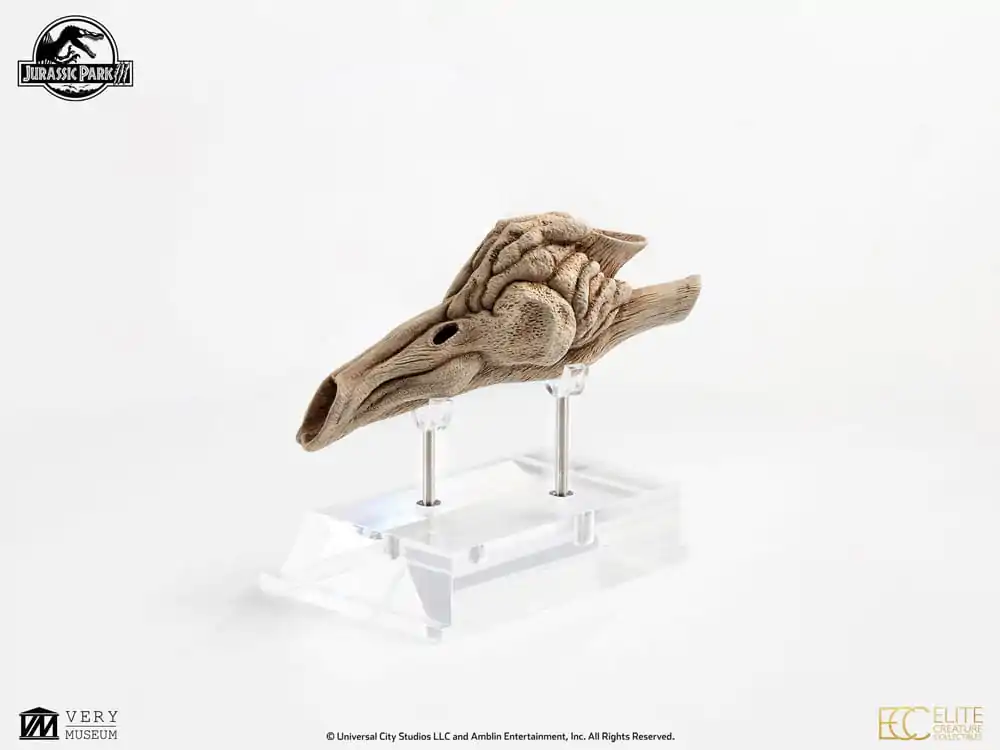 Jurassic Park III Prop Nachbildung 1/1 Velociraptor Resonanzkammer 18 cm Produktfoto