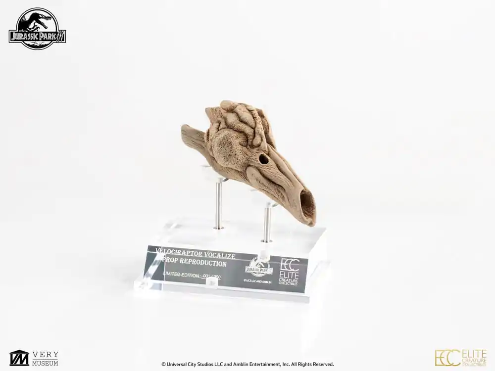 Jurassic Park III Prop Nachbildung 1/1 Velociraptor Resonanzkammer 18 cm Produktfoto