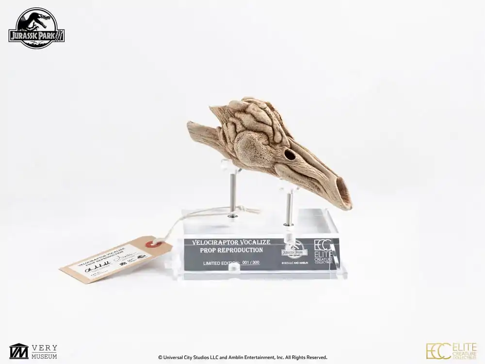 Jurassic Park III Prop Nachbildung 1/1 Velociraptor Resonanzkammer 18 cm Produktfoto