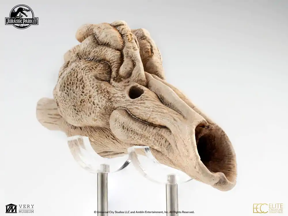 Jurassic Park III Prop Nachbildung 1/1 Velociraptor Resonanzkammer 18 cm Produktfoto