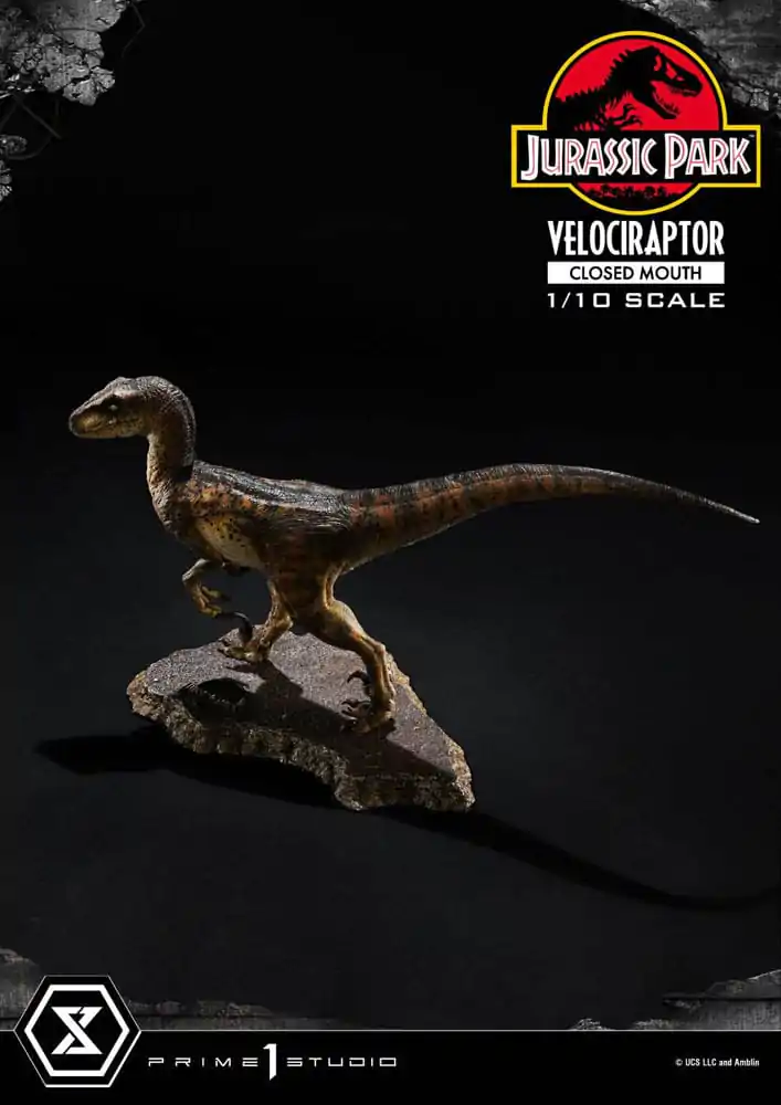 Jurassic Park Prime Collectibles Statue 1/10 Velociraptor Closed Mouth 19 cm termékfotó