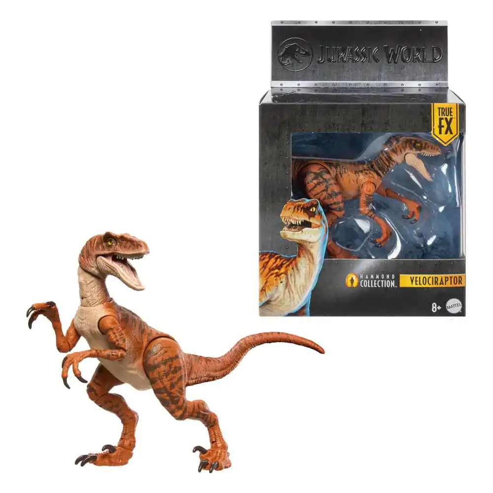 Jurassic World Hammond Collection Actionfigur Velociraptor Produktfoto