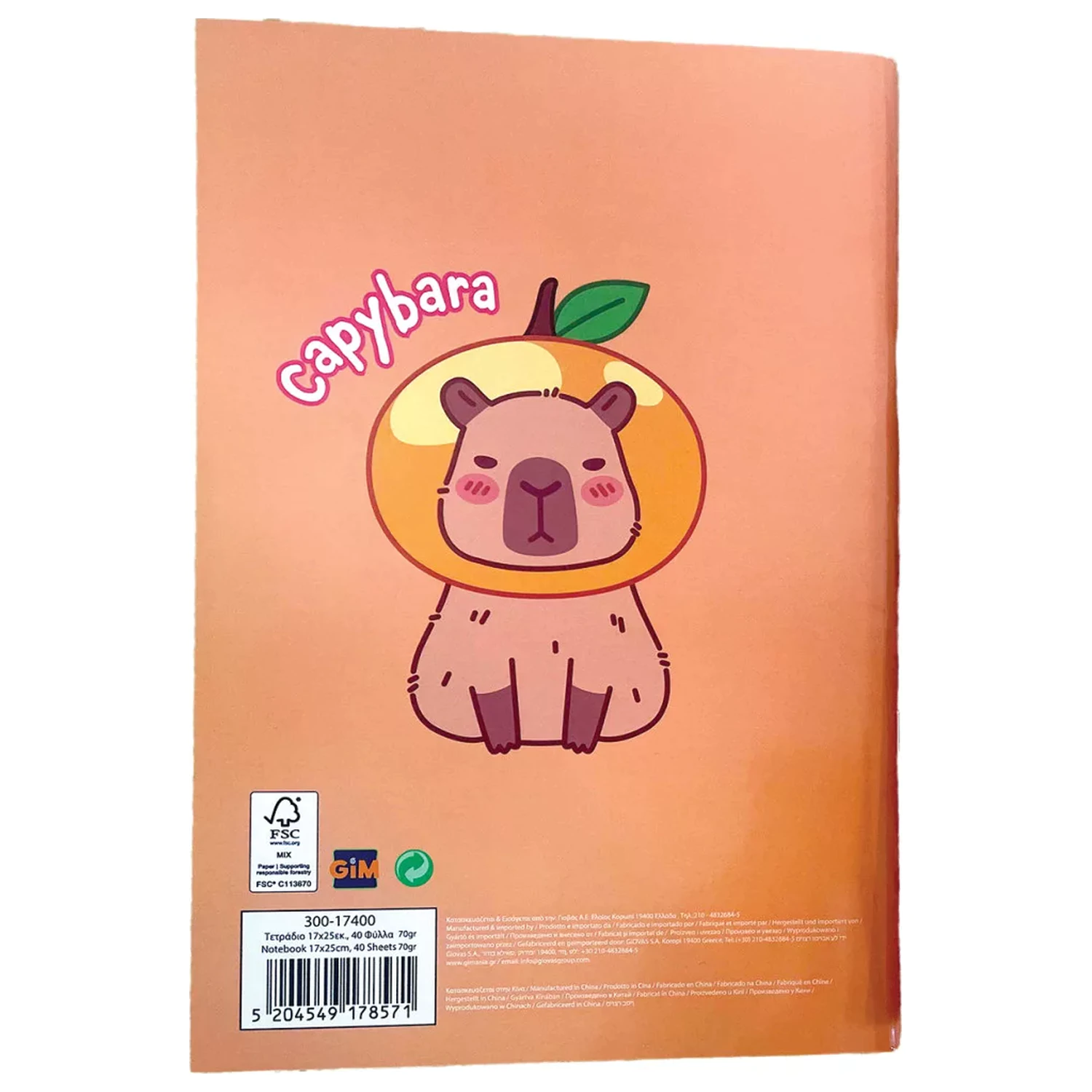 Capybara Chill B/5 liniertes Notizbuch 40 Seiten Produktfoto