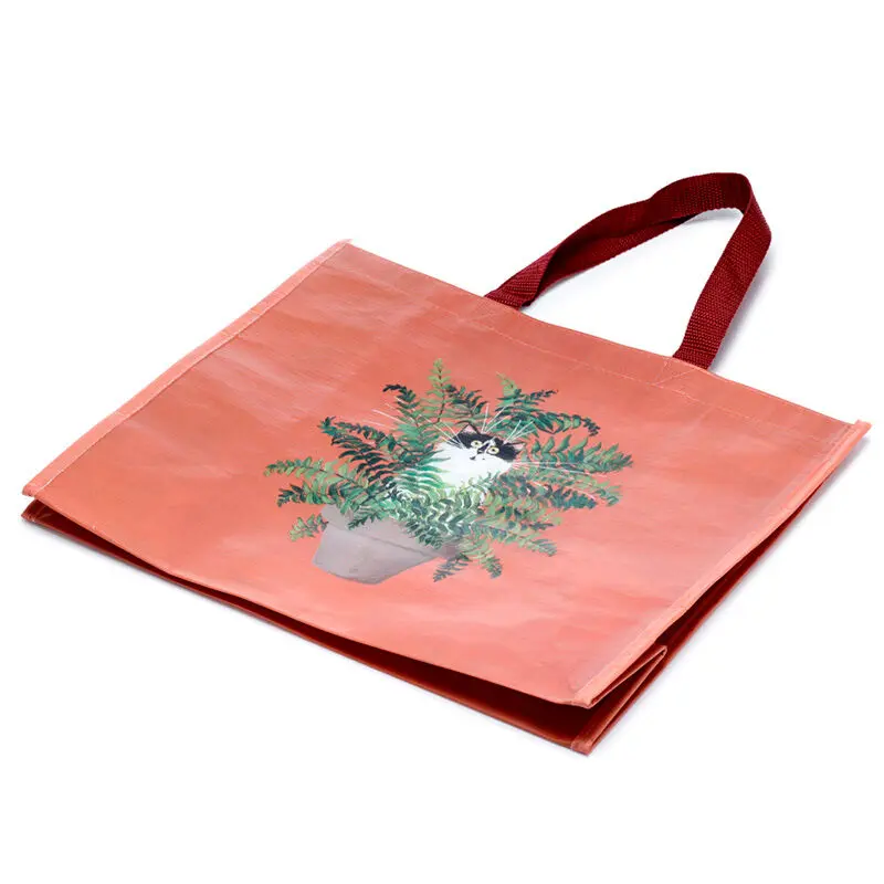 Kim Haskins Red Floral Cat Einkaufstasche Produktfoto