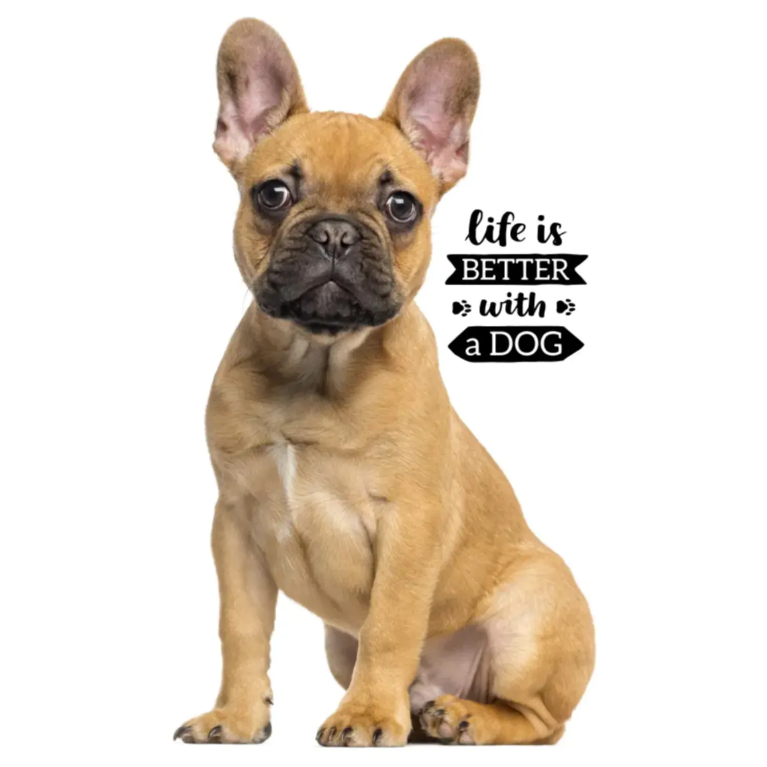 Hundethemenes Hand- und Gesichtshandtuch, Handtuch 30*50cm Produktfoto