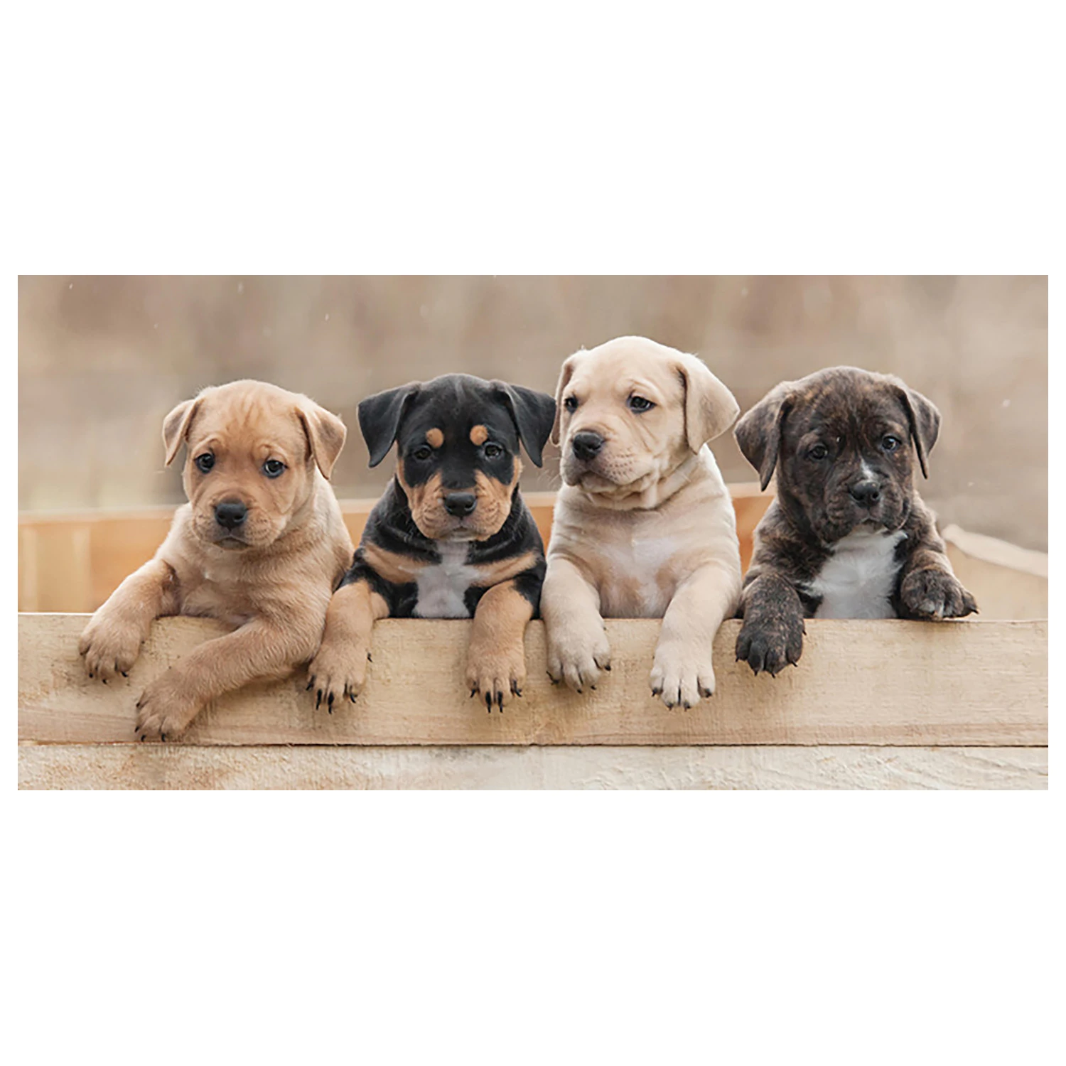 Dog Team Handtuch Produktfoto