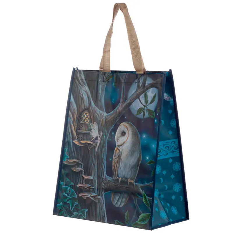 Lisa Parker Owl and Fairy Einkaufstasche Produktfoto