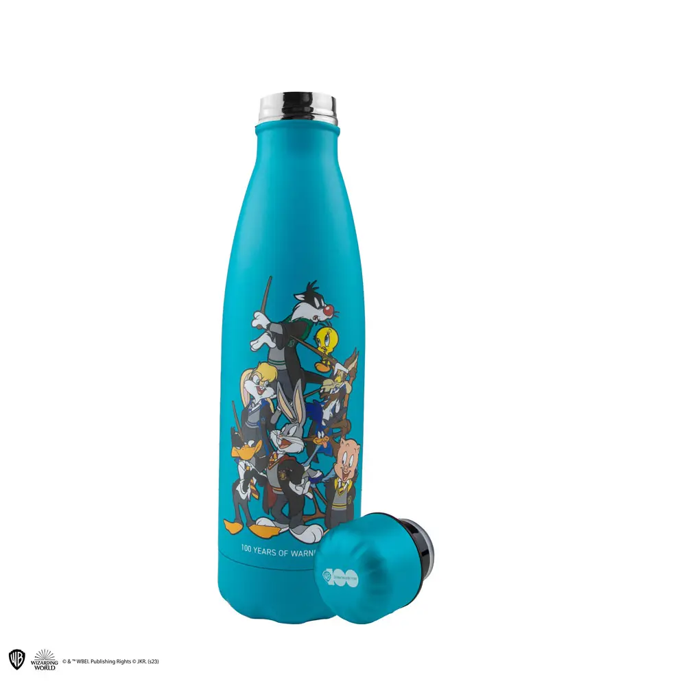 Looney Tunes Thermosflasche Looney Tunes at Hogwarts Produktfoto