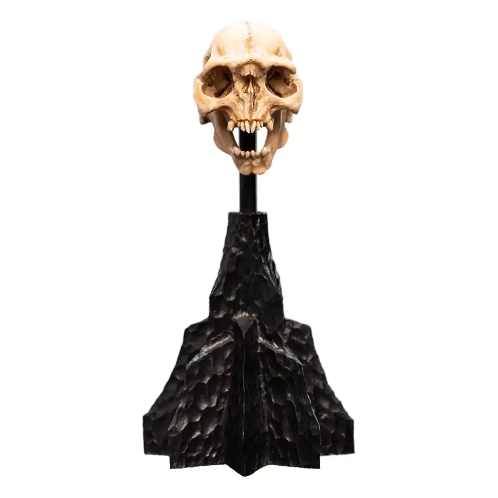 Herr der Ringe Mini Statue Skull of a Moria Orc 13 cm Produktfoto