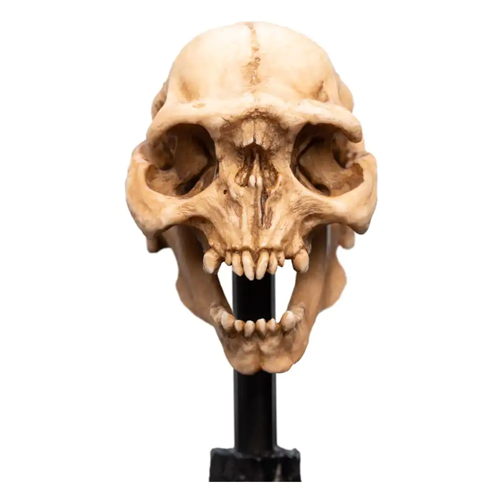 Herr der Ringe Mini Statue Skull of a Moria Orc 13 cm Produktfoto