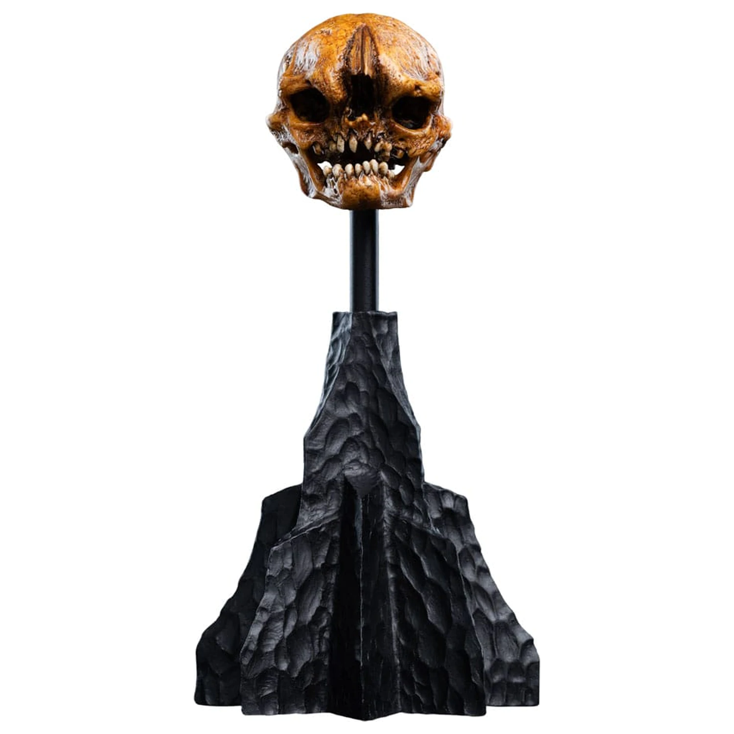 Lord of the Rings Mini Statue Schädel eines Misty Mountain Goblin 14 cm Produktfoto