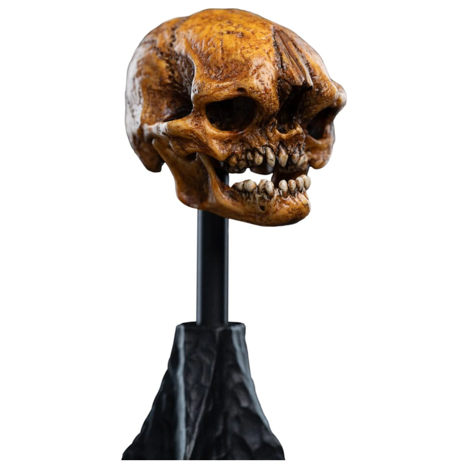 Lord of the Rings Mini Statue Schädel eines Misty Mountain Goblin 14 cm Produktfoto