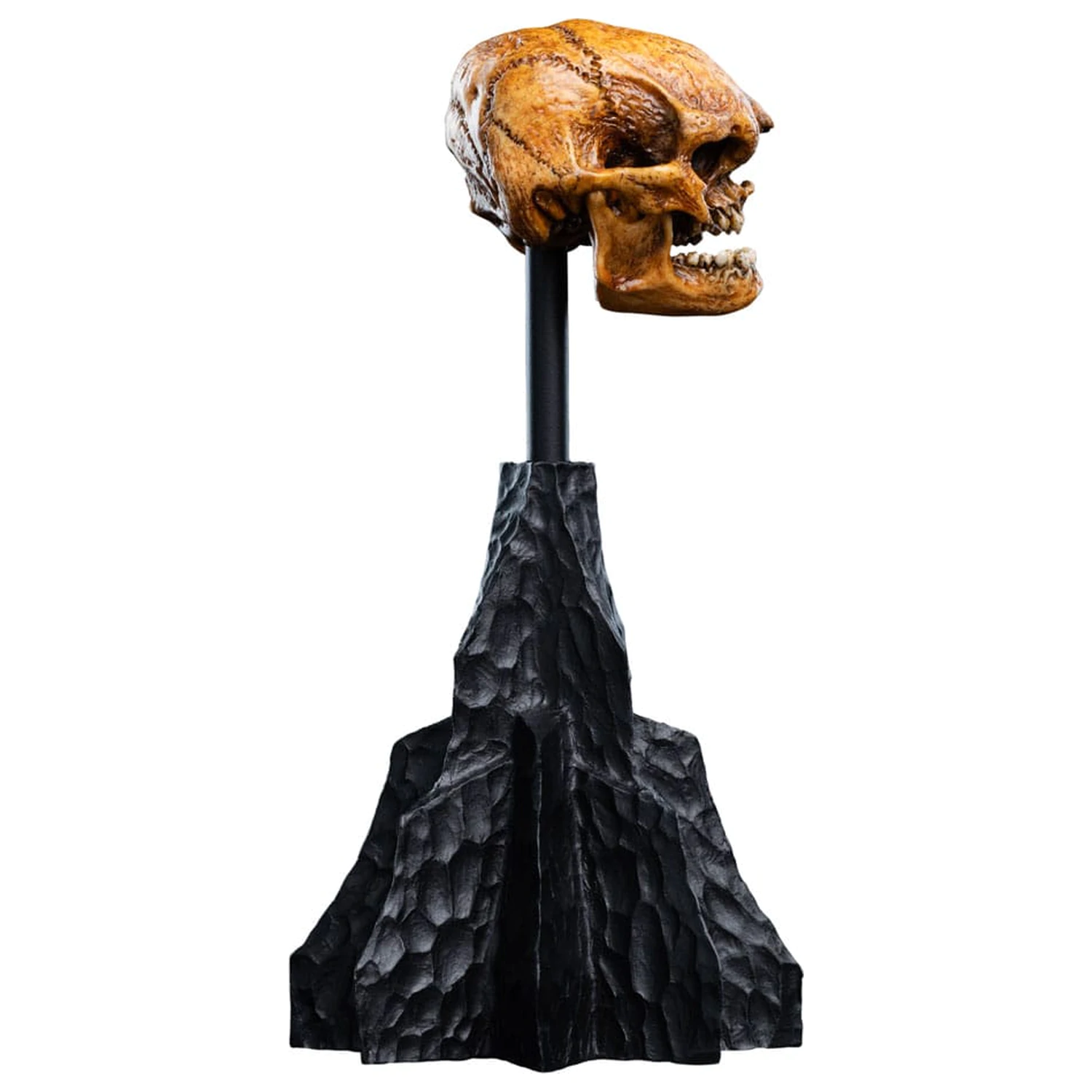 Lord of the Rings Mini Statue Schädel eines Misty Mountain Goblin 14 cm Produktfoto