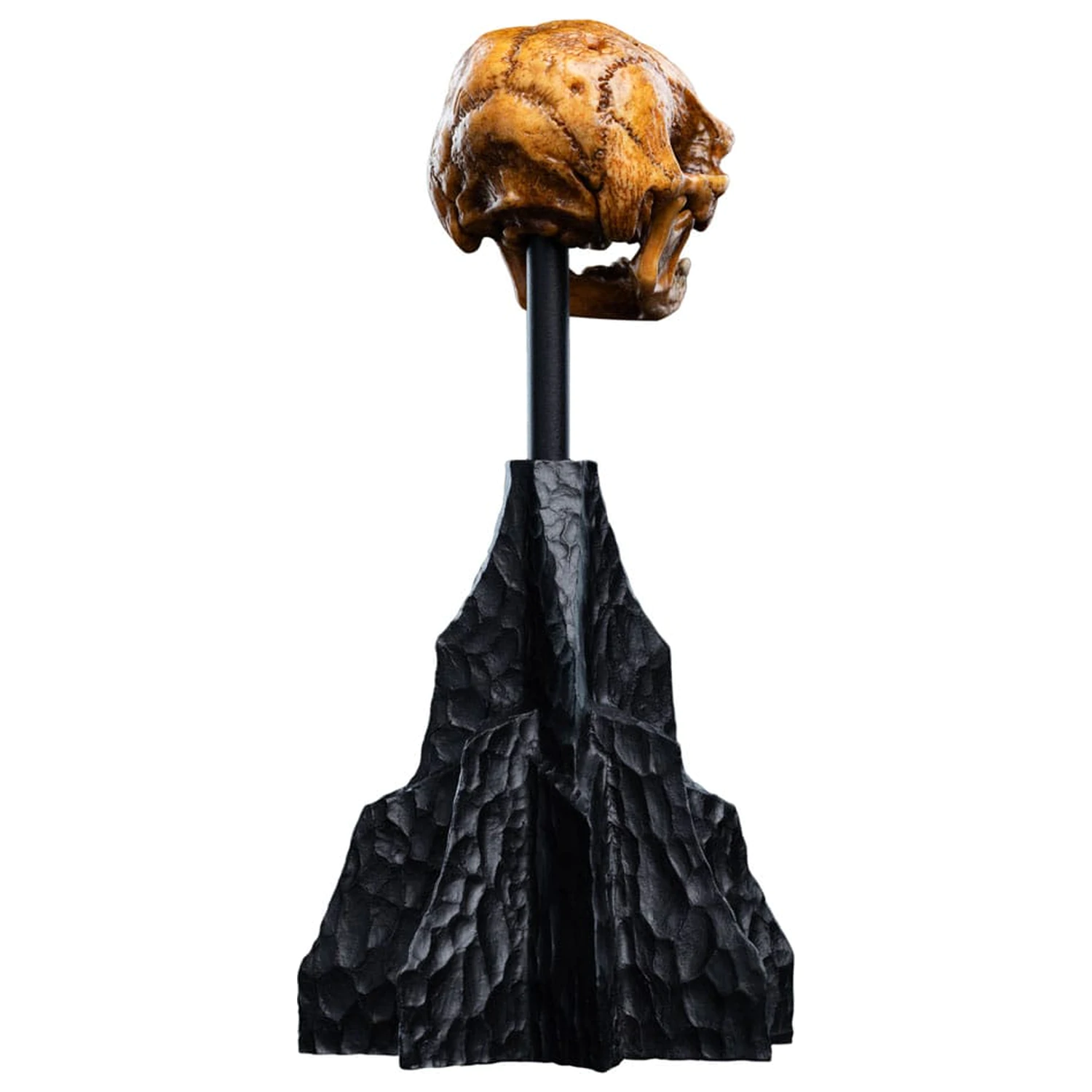 Lord of the Rings Mini Statue Schädel eines Misty Mountain Goblin 14 cm Produktfoto