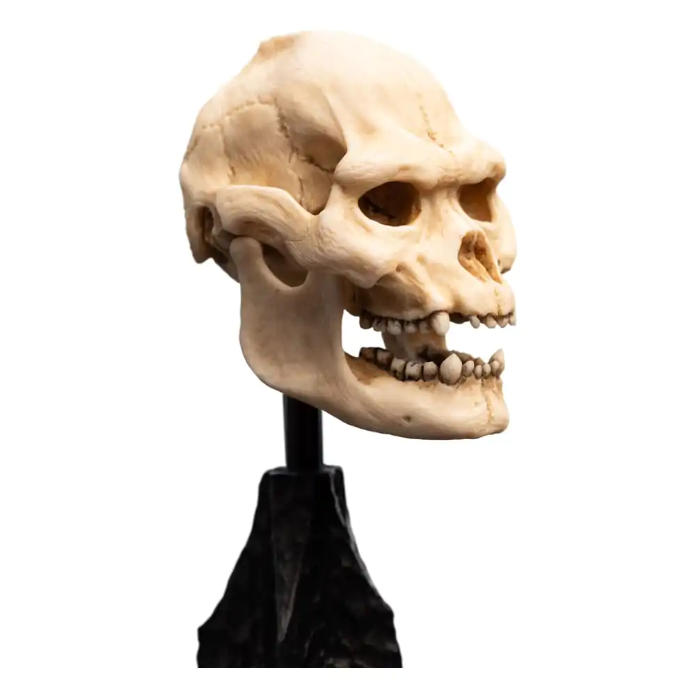 Herr der Ringe Mini Statue Skull of Lurtz 14 cm Produktfoto