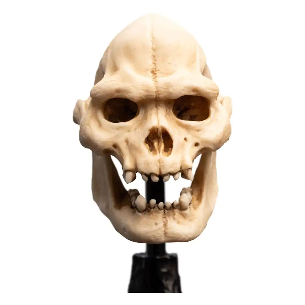 Herr der Ringe Mini Statue Skull of Lurtz 14 cm Produktfoto