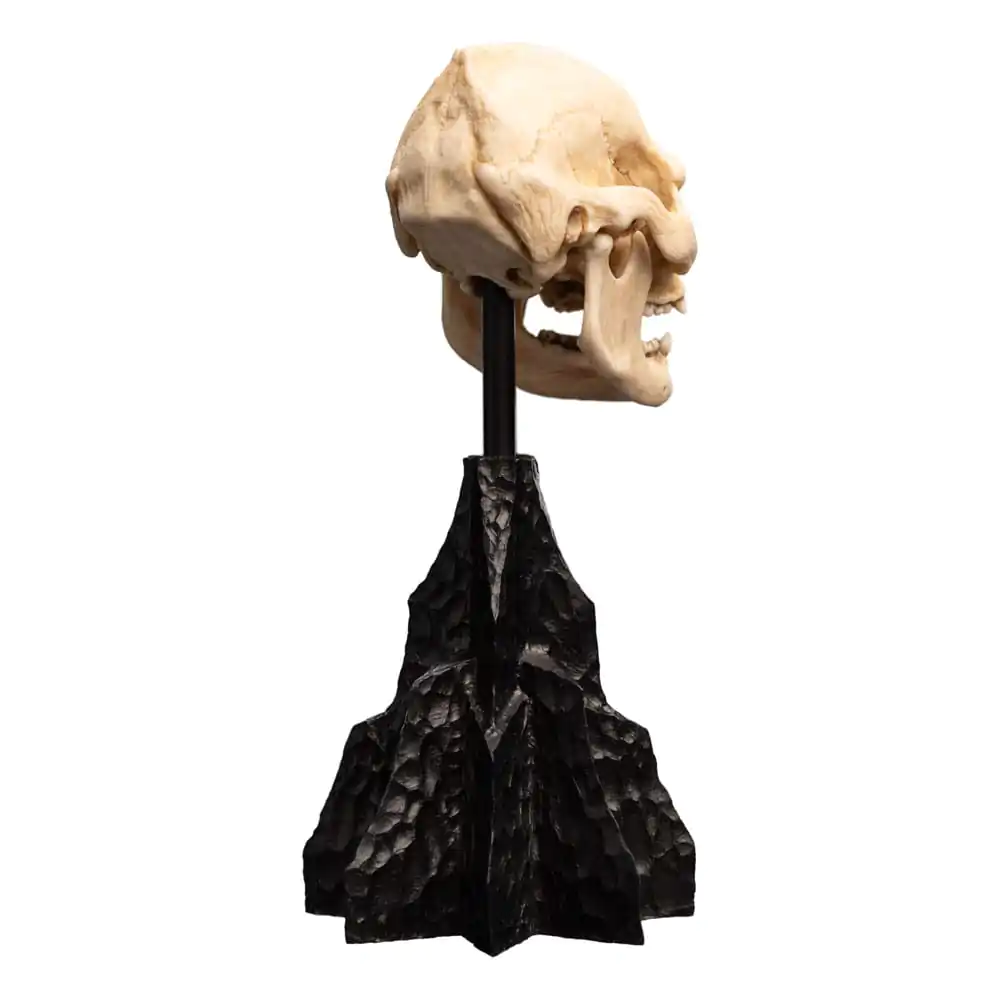 Herr der Ringe Mini Statue Skull of Lurtz 14 cm Produktfoto