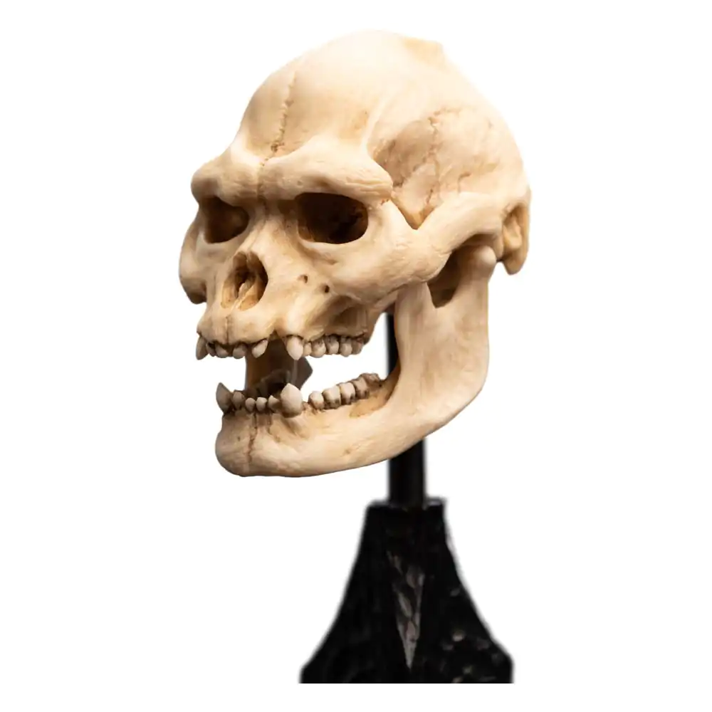 Herr der Ringe Mini Statue Skull of Lurtz 14 cm Produktfoto