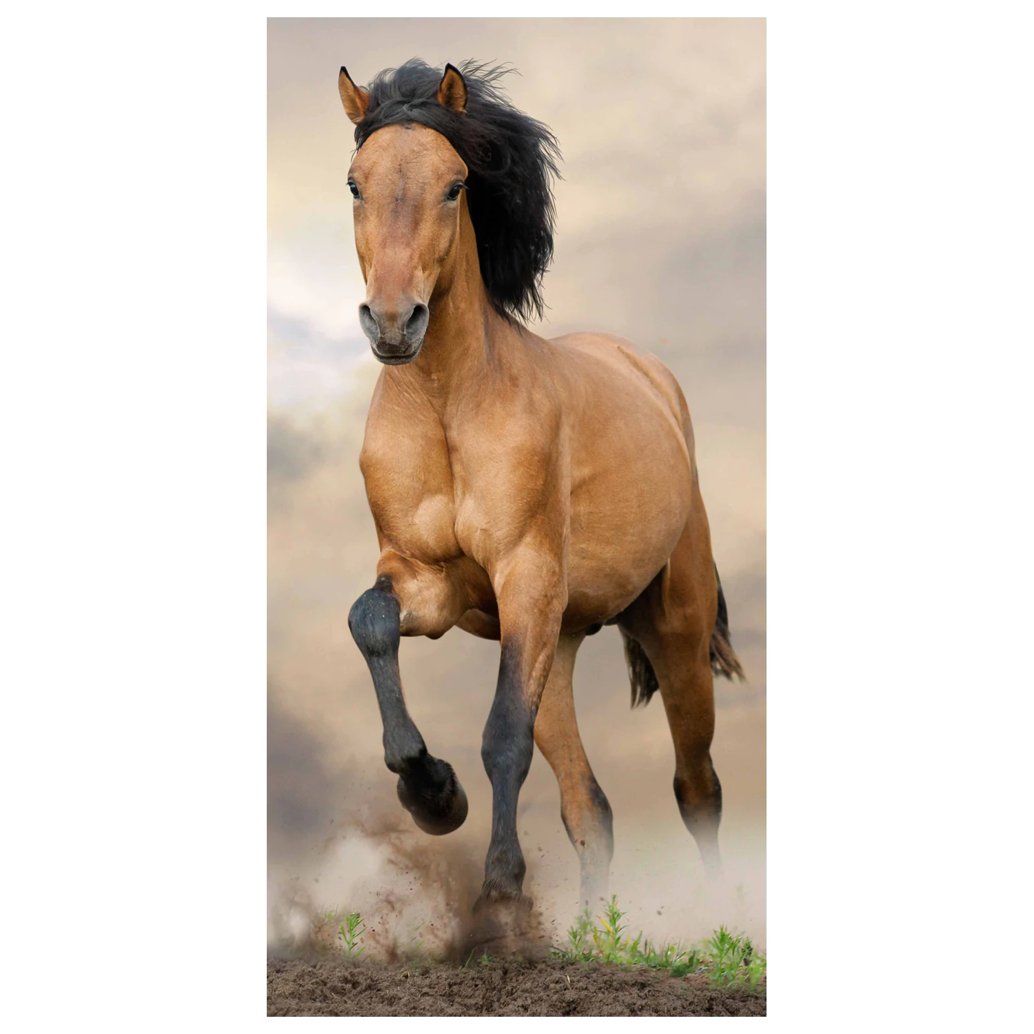 Equestrian Braunes Handtuch Produktfoto