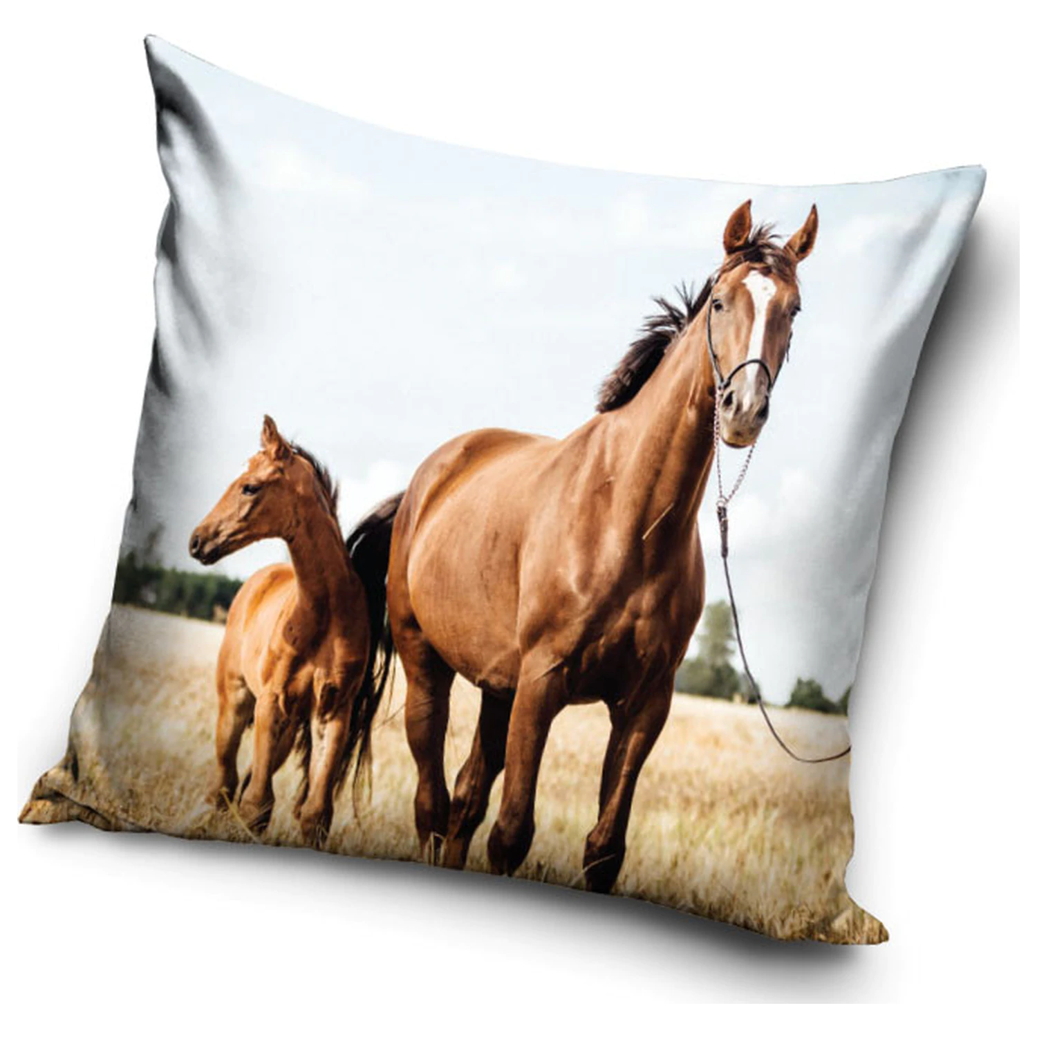 Rider Loyal Hearts Kopfkissenbezug Produktfoto