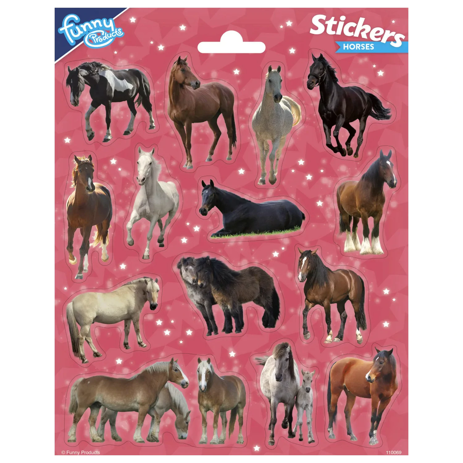 Rider Stars Aufkleber Produktfoto