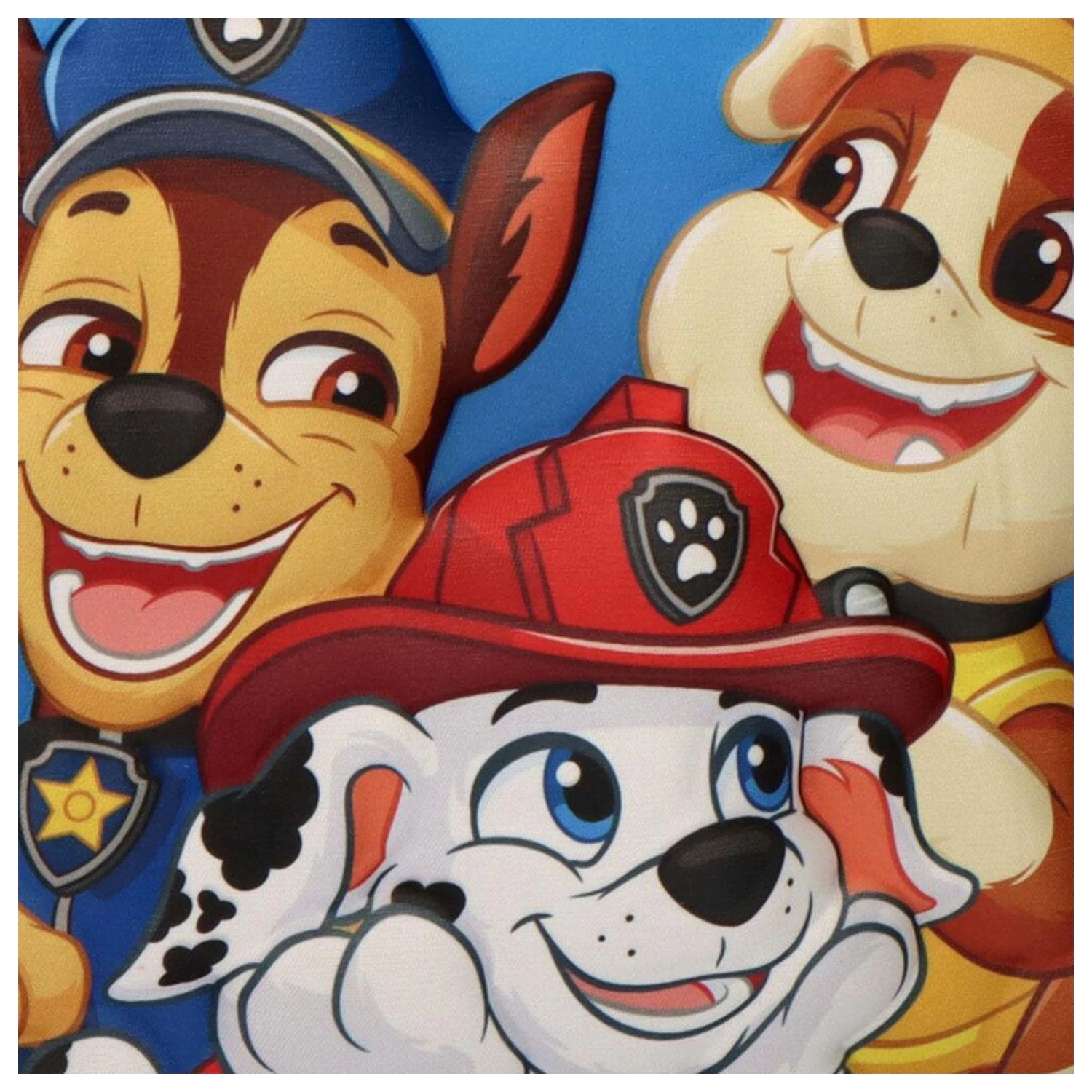 Paw Patrol 3D Lunchtasche Produktfoto