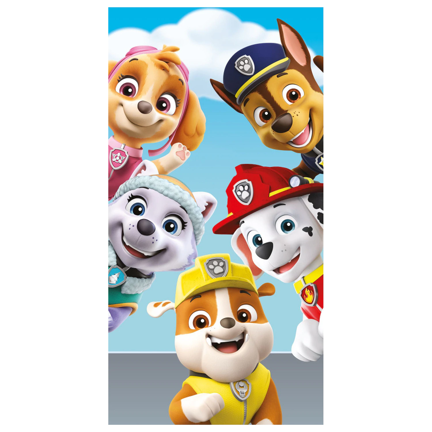 Paw Patrol Happy Glance Handtuch Produktfoto