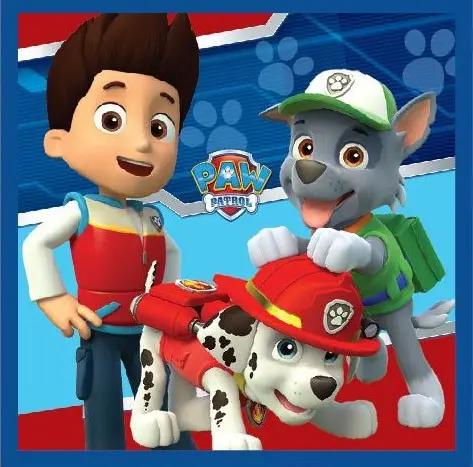 PAW Patrol Magic Handtuch Gesichts Handtuch, Handtuch 30*30cm Produktfoto
