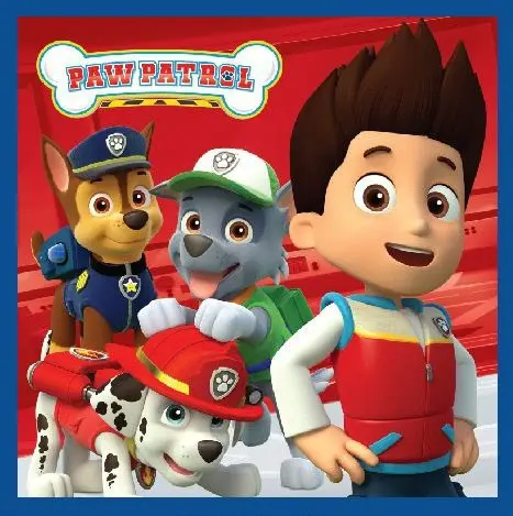 Paw Patrol Magic Handtuch, Gesichtshandtuch, Handtuch 30x30cm Produktfoto